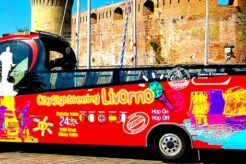 Tour in Bus On Hop Off, Funivia e Cacciucco